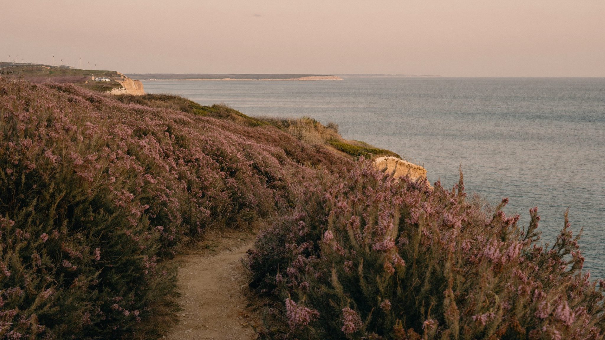 Sentier côtier bordé de falaises en Bretagne